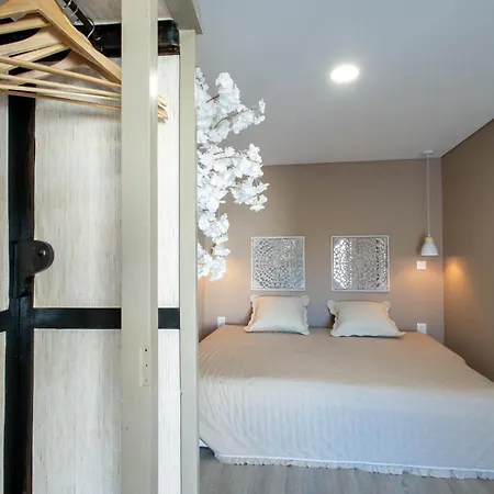 Appartement Birds Oporto
